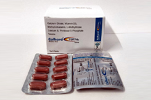  pcd pharma company in rajasthan World Healthcare -	tablet cal (2).jpeg	